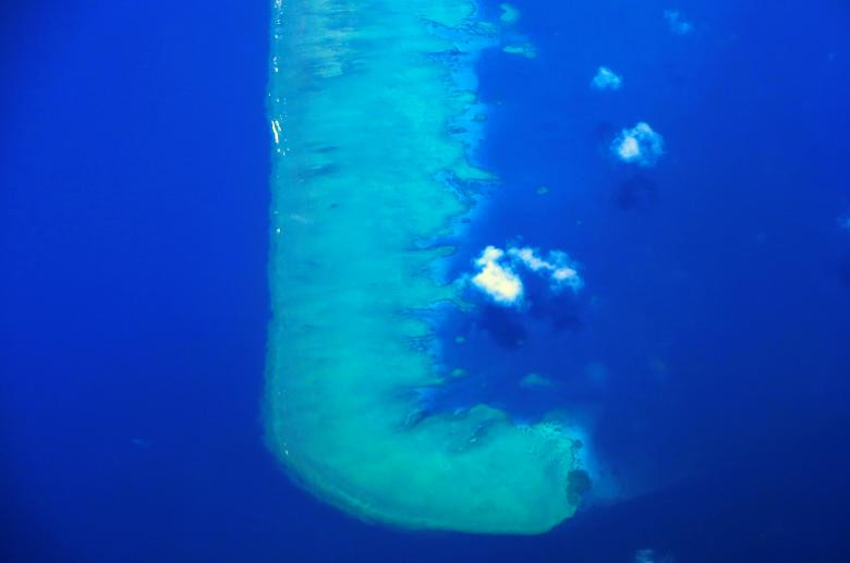 Rạn san hô lớn nhất thế giới này là một khu vực đa dạng về sinh học, quy tụ nhiều loài sinh vật khác nhau.