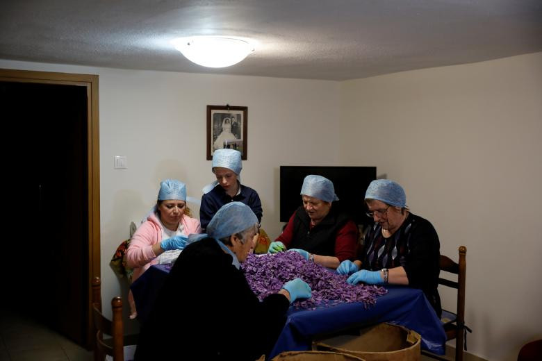 Nhuy hoa nghe tay: “Vang do” cho nen kinh te Hy Lap-Hinh-10