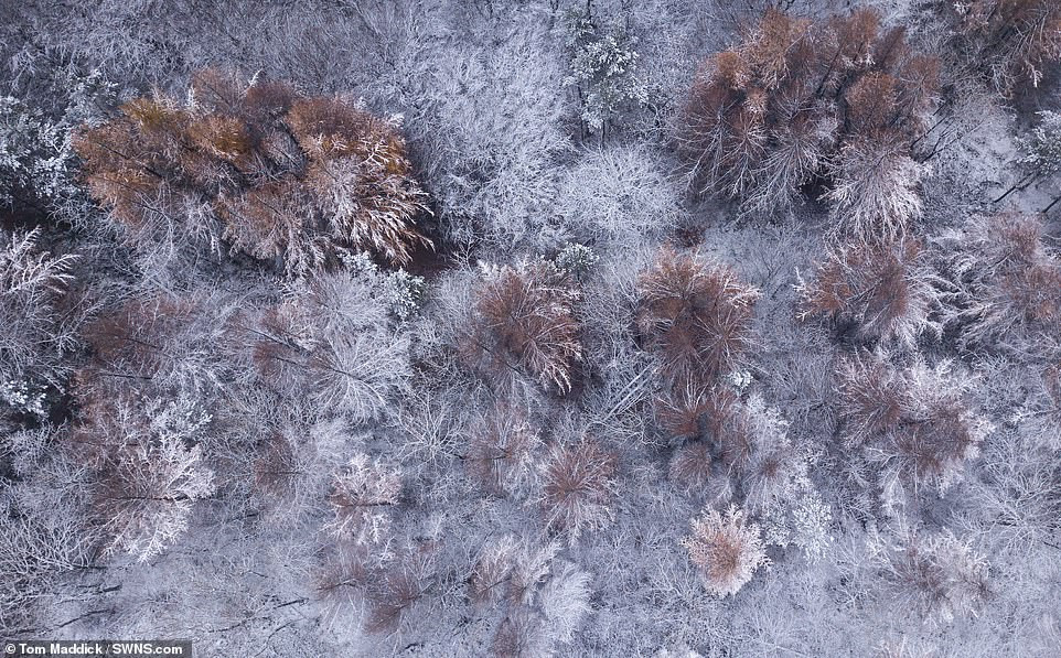 Cây cối trong thung lũng Hope như khoác lên một “tấm áo” mới sau trận tuyết rơi đêm hôm trước.