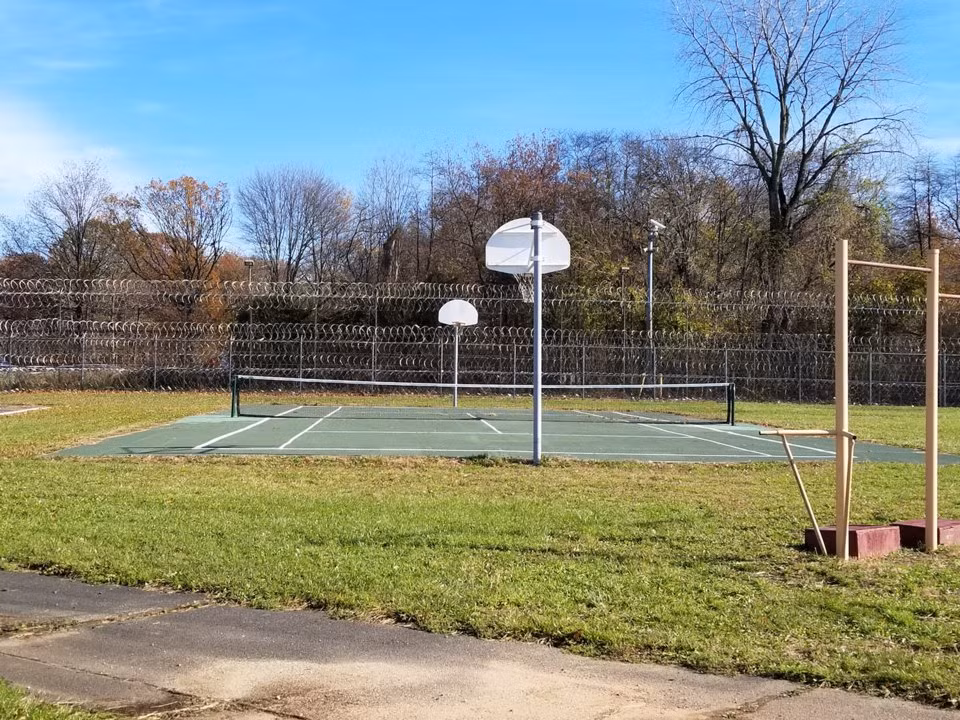 Được biết, Amazon đã chi 150.000 USD để biến sân chơi bóng rổ thành sân chơi tennis để làm chương trình “Red Oaks”.