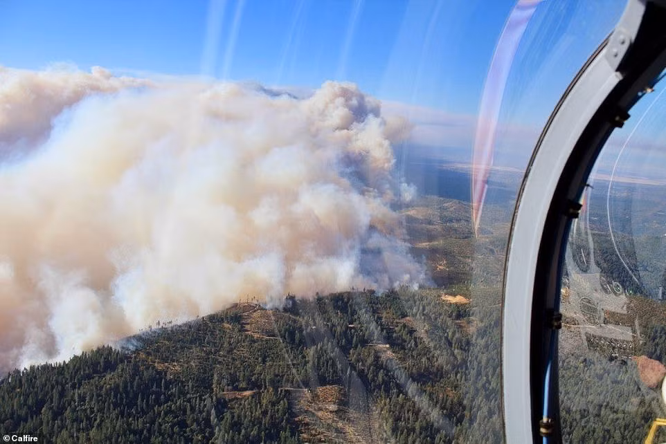 Theo Daily Mail, hàng chục nghìn người đã được yêu cầu sơ tán do những đám cháy rừng ở California đe dọa nhiều cộng đồng dân cư ở phía bắc bang này. Ảnh: Daily Mail.