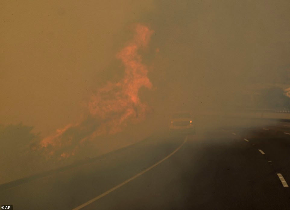 Hai hung canh tuong nhu “ngay tan the” sau tham hoa chay rung California-Hinh-3