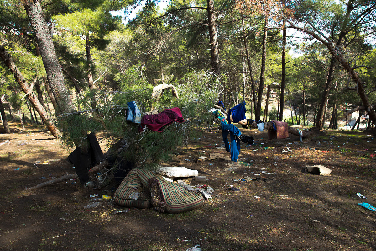Cam canh di dan Chau Phi hoa “nguoi rung” o Ma-roc-Hinh-11