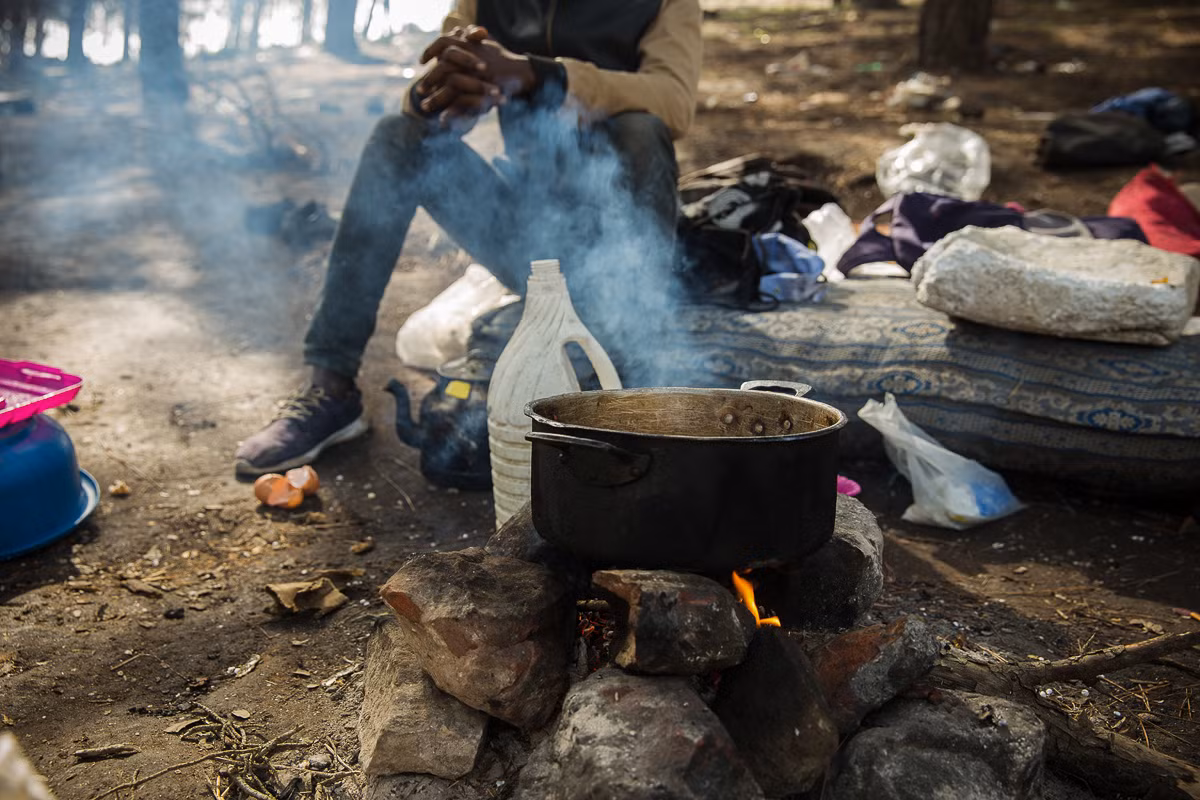 Họ nhặt củi trong rừng để nấu bữa trưa, bữa ăn duy nhất trong ngày.