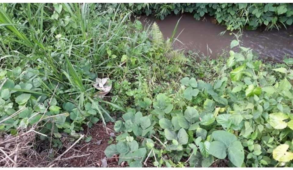 Phát hiện thi thể một người phụ nữ dưới dưới bờ suối Phat hien thi the mot nguoi phu nu duoi duoi bo suoi