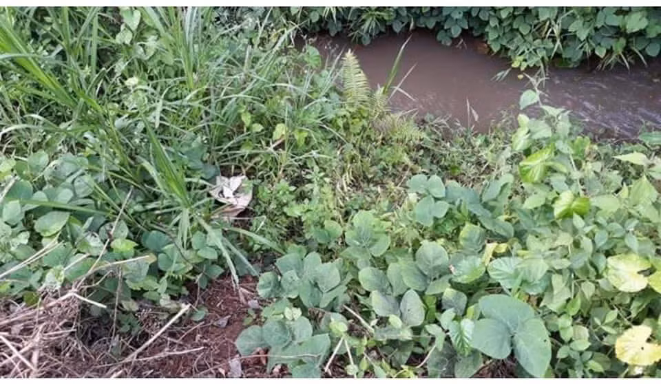 Phat hien thi the mot nguoi phu nu duoi duoi bo suoi