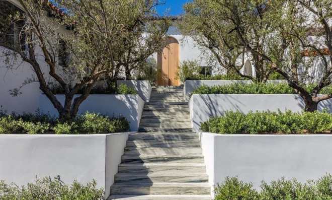 Lối đi vào cổng chính được trang trí tinh tế với hàng cây ô liu duyên dáng ở hai bên. 