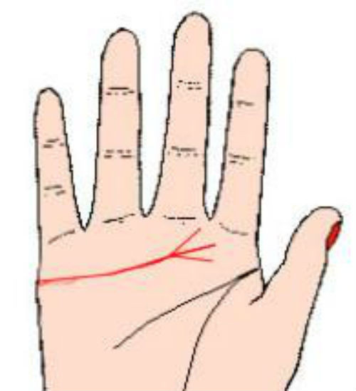 Xem chi tay doan hon nhan tron doi-Hinh-2