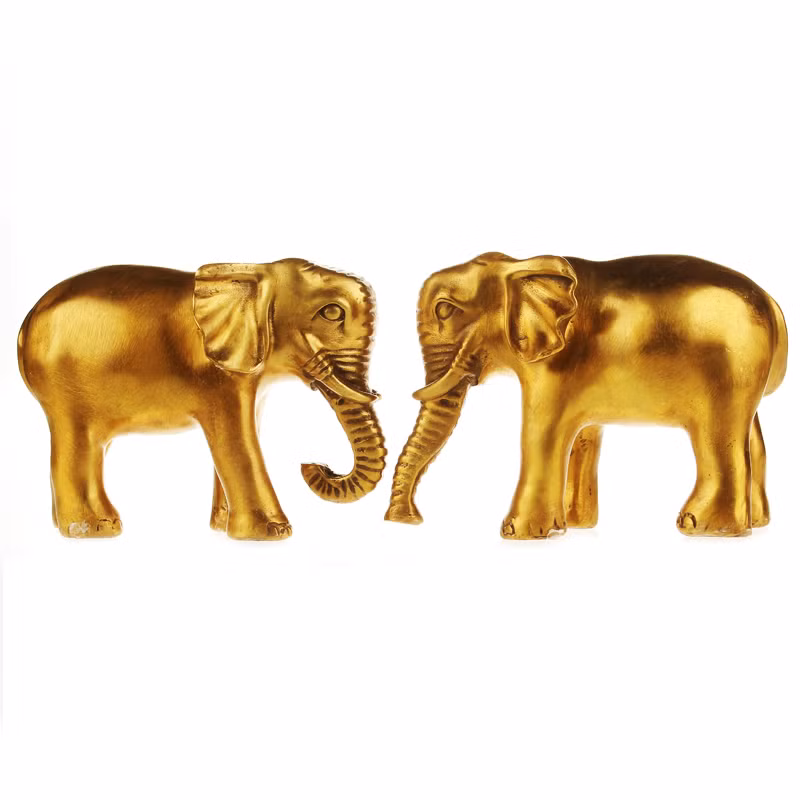 Nếu bên ngoài không gần nguồn nước có thể đặt một chậu cảnh trong nước, bể cá hoặc bánh xe nước phong thủy vào giữa hai bức tượng voi hoặc trước mặt tượng voi phong thủy sẽ có tác dụng hút nạp tài khí cho chủ nhân.