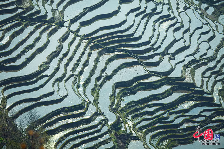 Những thửa ruộng bậc thang ở Nguyên Dương đã có hơn 1.300 năm lịch sử và được người dân nơi đây truyền đời sản xuất và tiếp tục "vẽ" để tạo nên một bức tranh thiên nhiên kỳ vĩ.