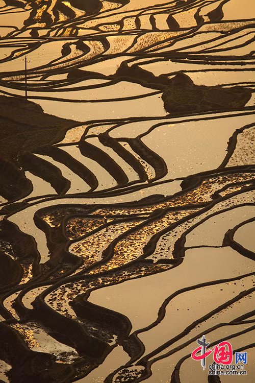 Những thửa ruộng này nằm ở các sườn của dãy Ai Lao Sơn cao chót vót.