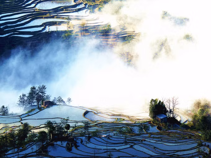 Cả không gian như nàng tiên đang mơ màng trong giấc ngủ dưới ánh ban mai đã trải khắp sườn non.