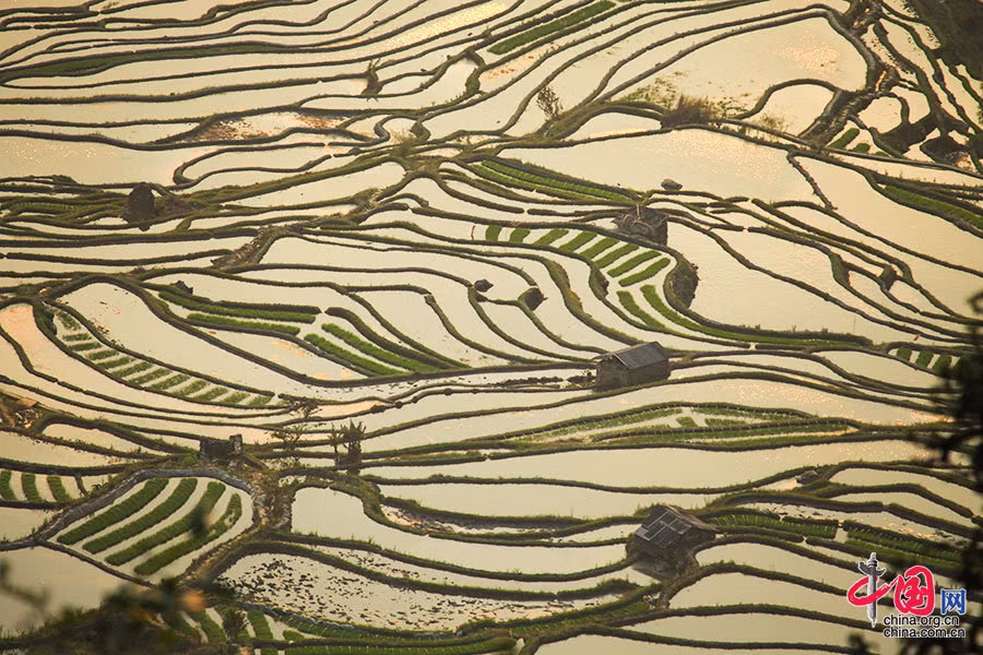 Sự kết hợp hài hòa giữa thiên nhiên và con người đã tạo nên bức tranh tuyệt đẹp cho vùng đất này. Ngày 22/6/2013, ruộng bậc thang của người Hà Nhì đã được công nhân là di sản thế giới.