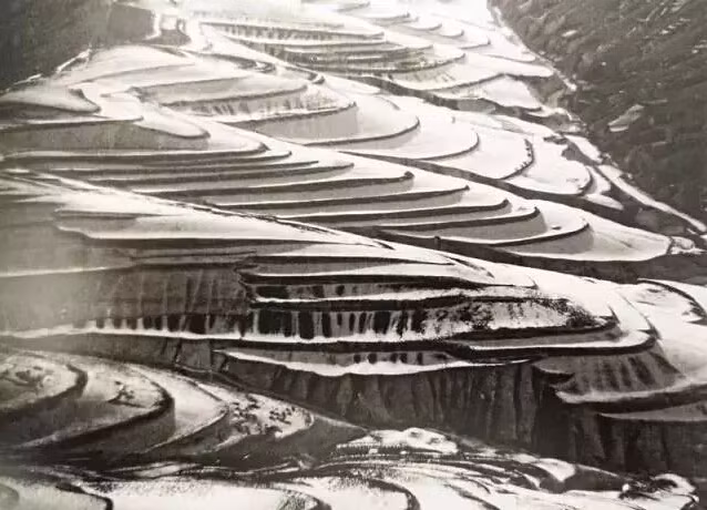 Những thửa ruộng bậc thang bên triền núi ở Cam Túc.