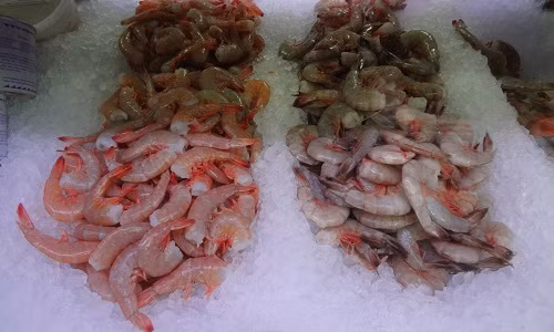 Sử dụng tôm ươn là sai lầm nhiều người mắc phải khi nấu ăn với tôm. Thực tế tôm tươi rất dễ hỏng. Tốt nhất bạn nên chế biến tôm trong vòng 24h sau khi mua về.