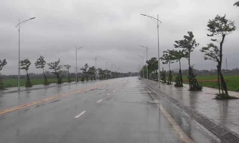 Truoc khi ra soat, Tay Nam Bo trung thau du an cay xanh nao?