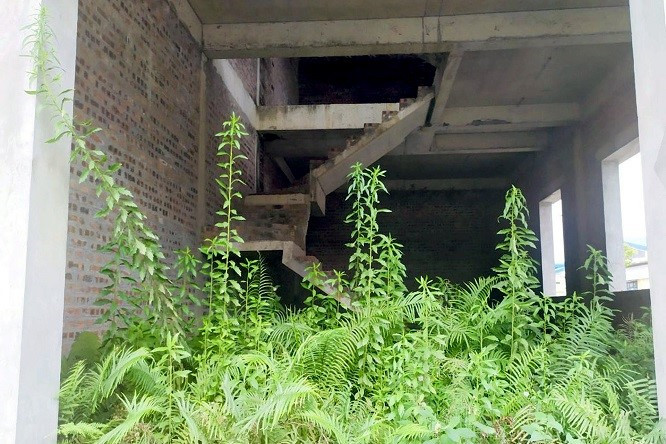 Can canh du an 2000 ty khien Pho Bi thu Vinh Phuc bi bat-Hinh-12