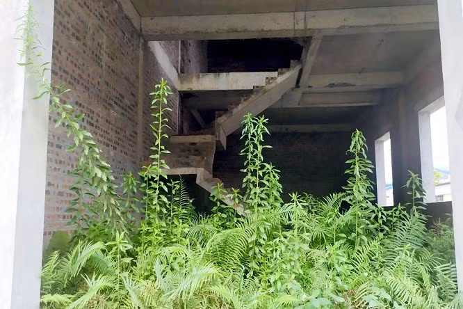 Can canh du an 2000 ty khien Pho Bi thu Vinh Phuc bi bat-Hinh-12