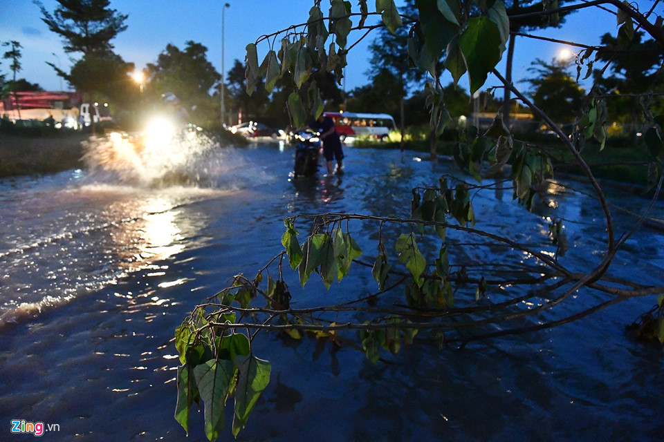 Đoạn có hố ga và ổ gà nguy hiểm đã được người dân cảnh báo che chắn bằng cành cây.