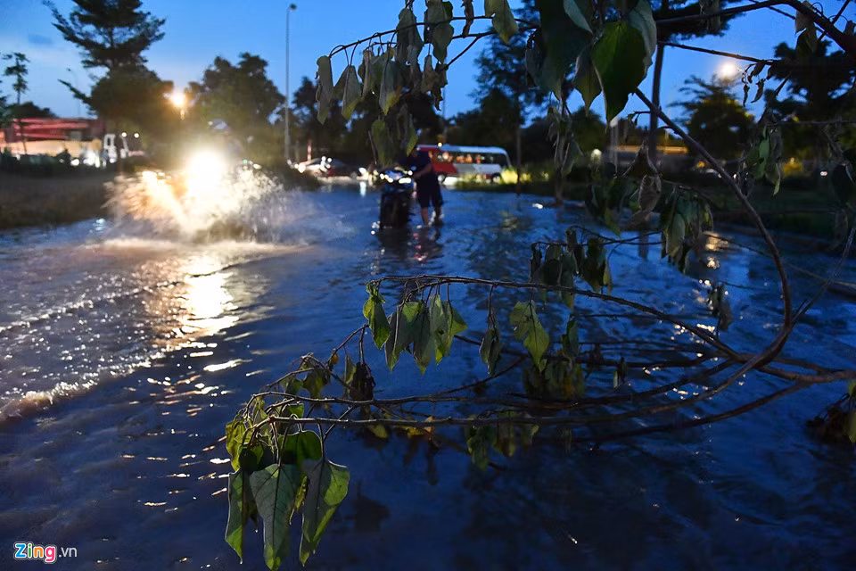 Đoạn có hố ga và ổ gà nguy hiểm đã được người dân cảnh báo che chắn bằng cành cây.
