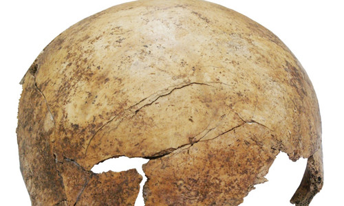 Ngoi mo tap the he lo cuoc tham sat thoi Do da