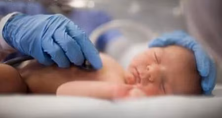 Hiện Đức và Nhật Bản là hai quốc gia có tỷ lệ sinh thấp nhất thế giới.