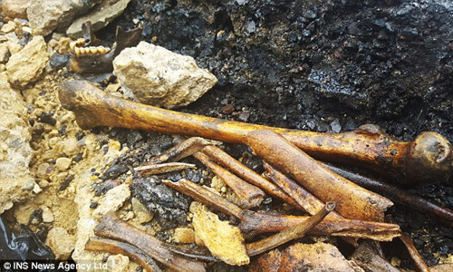 Phat hien luong lon xuong nguoi thoi Trung co