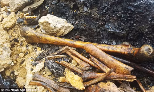 Phat hien luong lon xuong nguoi thoi Trung co