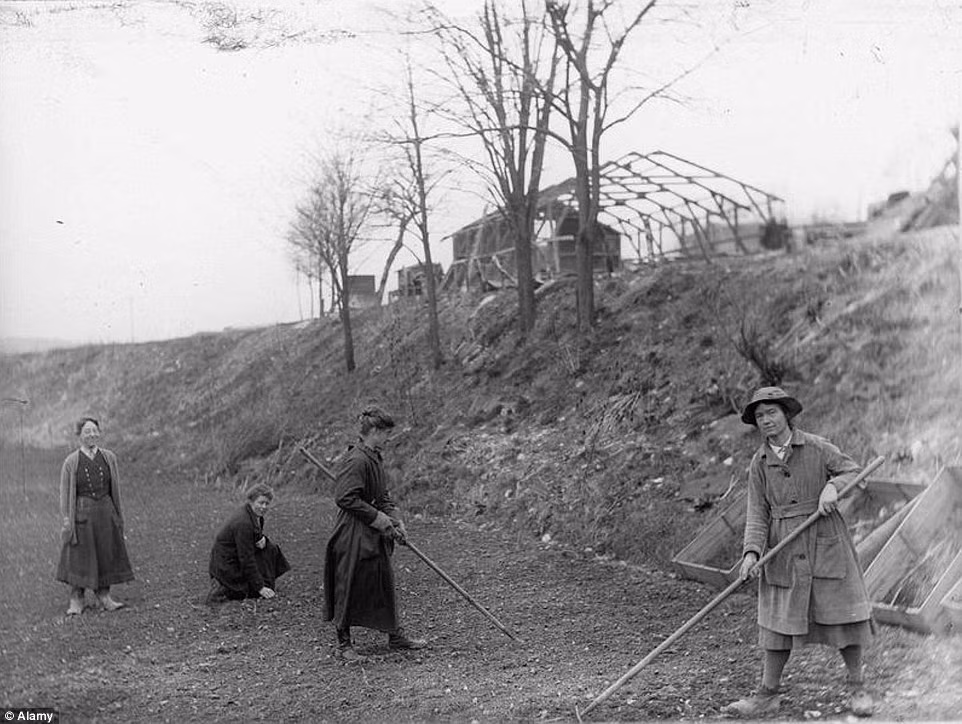 Nhóm công nhân làm việc tại Grange-le-Comte - nơi sau này được chuyển đổi thành trại chăn nuôi gia súc như một phần nỗ lực tái thiết đất nước sau chiến tranh.