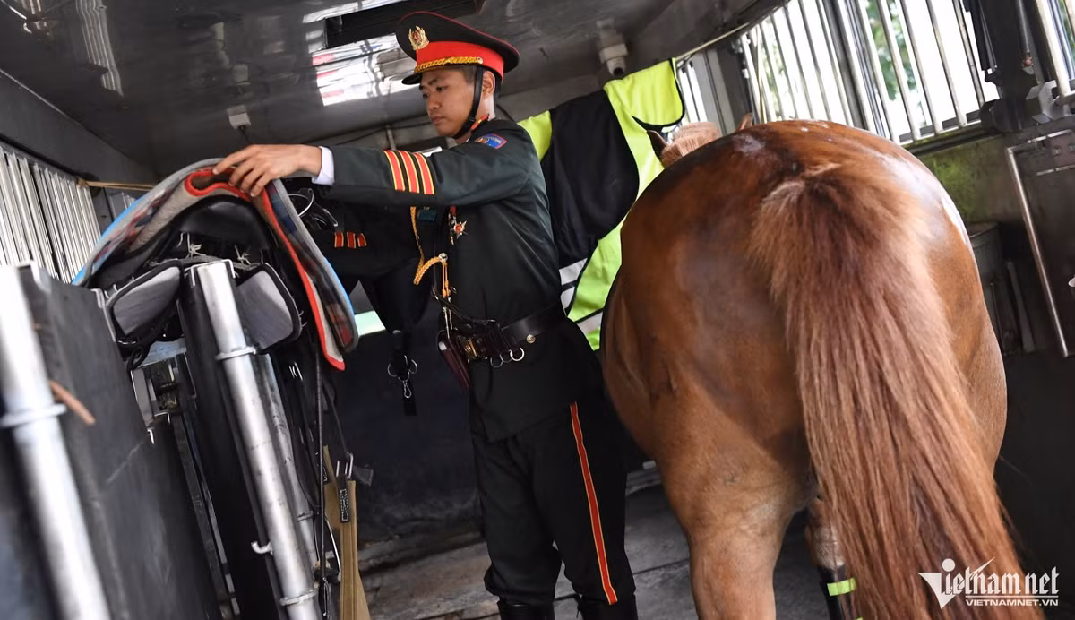 Hanh trinh Nam tien day thu thach cua 62 chien ma ky binh-Hinh-5