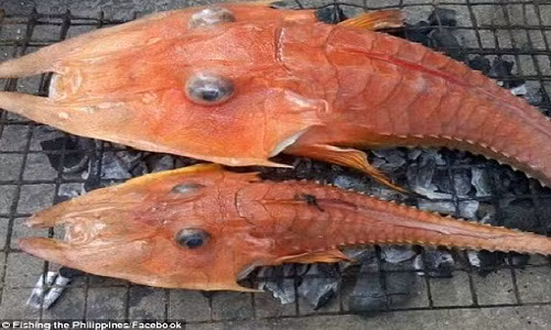 Loai ca giong “sinh vat thoi tien su