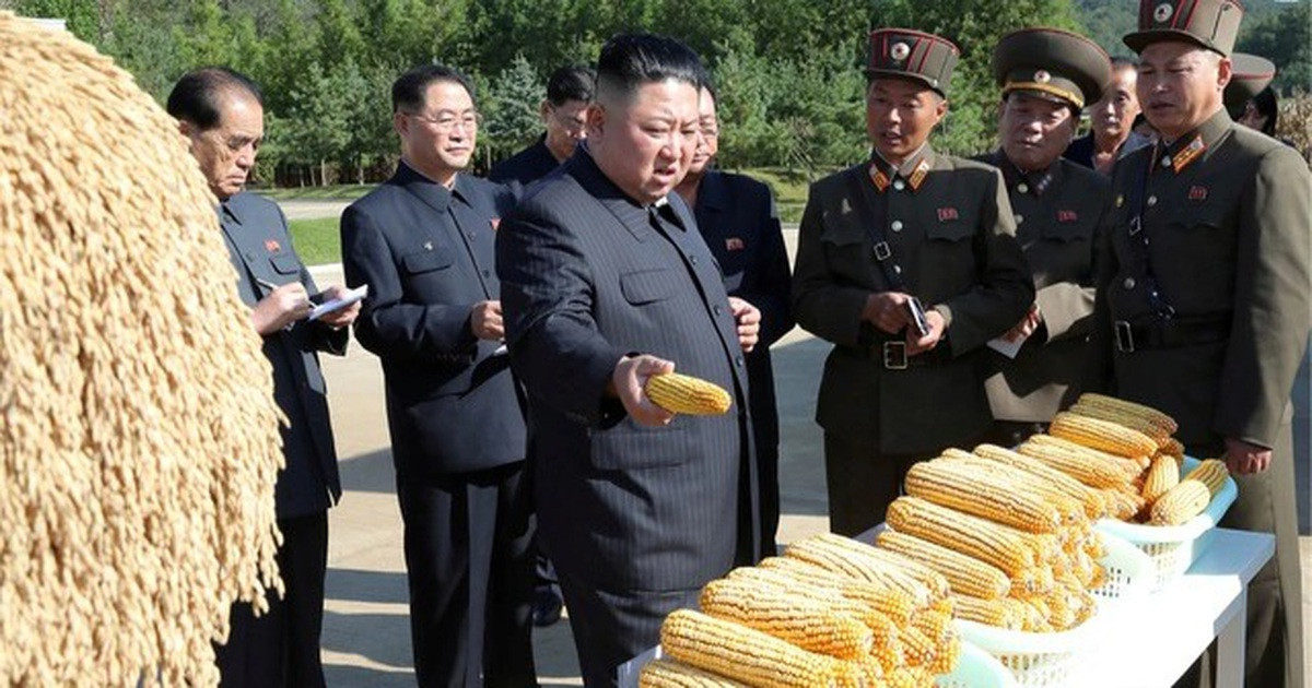 Khó khăn lớn nhất của Triều Tiên chính là lương thực, khi tham chiến dài ngày thì mọi nguồn lực phải dồn cho quân đội, lực lượng sản xuất sẽ bị thiếu hụt, càng khoét sâu thêm vấn đề nhức nhối đối với Bình Nhưỡng trong nhiều năm qua.