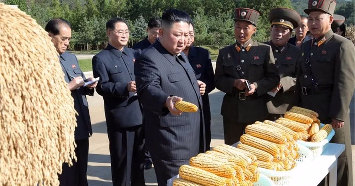 Khó khăn lớn nhất của Triều Tiên chính là lương thực, khi tham chiến dài ngày thì mọi nguồn lực phải dồn cho quân đội, lực lượng sản xuất sẽ bị thiếu hụt, càng khoét sâu thêm vấn đề nhức nhối đối với Bình Nhưỡng trong nhiều năm qua.