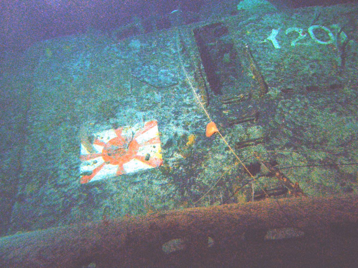 Đối với những tàu có tham gia chiến đấu, tổn thất của họ cực kì thảm hại khi gần như không một ai trở về. Trong tổng số 30 tàu ngầm Nhật Bản tham gia hỗ trợ cuộc tấn công vào Trân Châu Cảng ngày 7/12/1941, không một chiếc nào còn sống sót sau cuộc chiến.