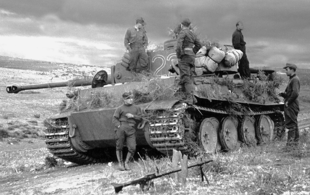 4 chiếc Tiger đầu tiên tham chiến đã được gửi đến khu vực Leningrad vào tháng 8/1942. Thật không may, chúng đã được triển khai đơn lẻ trên địa hình đầm lầy và trong ngày đầu tham chiến, cả 4 chiếc đều bị hạ gục, mặc dù áo giáp của chúng không bị xuyên thủng.