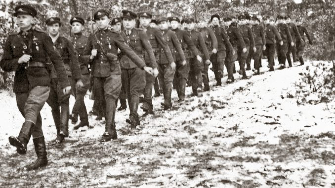 Ngày 17/08/1940, Quân đội Litva cũ được chuyển thành Quân đoàn Bộ binh 29 thuộc Hồng quân Liên Xô. Tư lệnh Quân đoàn là Trung tướng Vincas Vitkauskas - Cựu tư lệnh Quân đội Cộng hoà Litva. Tới ngày 13/06/1941, Thiếu tướng Alexander Samokhin (người Nga) thay thế Trung tướng Vincas Vitkauskas (người Litva) làm Tư lệnh Quân đoàn.