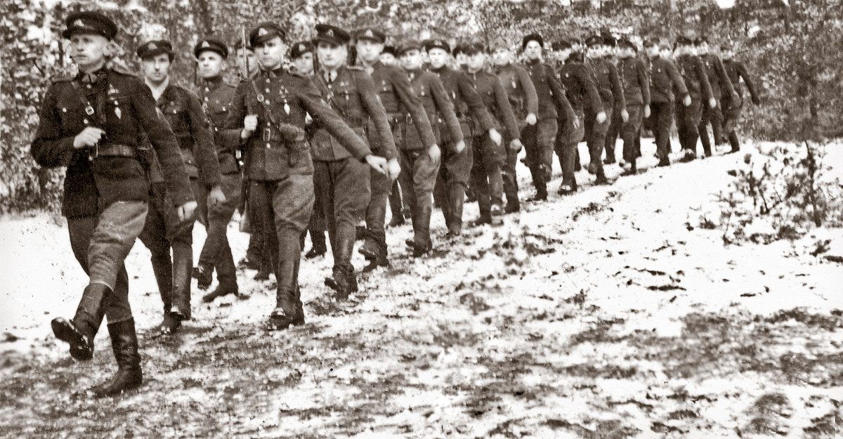 Từ ngày 01/09/1941, Quân đoàn Bộ binh Litva 29 được đưa khỏi tuyến đầu và không còn tham gia chiến đấu. Trong số 16.000 người Litva phục vụ trong Quân đoàn trước chiến tranh, đến lúc này chỉ còn chưa đến 2.000 người Litva còn phục vụ trong Quân đoàn. Ngày 23/09/1941, Quân đoàn Bộ binh Litva 29 chính thức giải thể.