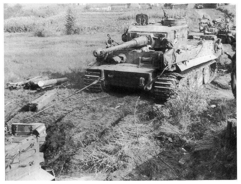 Bánh xe chồng lên nhau của Tiger cũng gây ra vấn đề, đôi khi nó bị tắc nghẽn bởi bùn và mảnh vỡ trên chiến trường. Trọng lượng lớn và kích thước cố định của Tiger cũng là một điểm yếu, nhhiều cây cầu không thể chịu được trọng lượng của nó và bất kỳ tuyến đường nào mà nó đi qua phải được kiểm tra để đảm bảo các con đường đủ rộng.