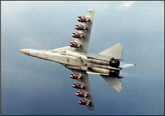 F-111 có thể mang tên lửa đất đối không AGM-69 SRAM, bom đối không AGM-130. Là một máy bay ném bom chiến đấu, nó có thể mang các loại bom thông thường như Mk 82, Mk 83, Mk 84 và Mk 117. Ngoài ra còn có bom chùm, bom xuyên thấu cứng BLU-109, bom dẫn đường bằng laser, bom BLU-107, GBU -15 bom điện quang, và bom hạt nhân B61 hoặc B43.