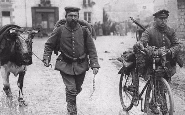 Đặc biệt là về quân sự khi mà lực lượng vũ trang Đức chỉ được dưới 100.000 người. Cùng với đó là 1 khoản tiền bồi thường chiến phí khổng lồ. Thế nhưng vận mệnh lại tiếp tục mỉm cười với Guderian khi mà ông là 1 trong 4.000 sĩ quan của Đế quốc Đức cũ được phép tiếp tục phục vụ trong chính phủ cộng hòa Weimar.