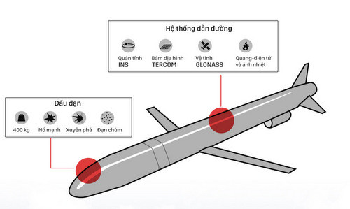Mỗi tên lửa Kh-101 được trang bị đầu đạn nặng 400 kg, bao gồm các loại nổ mạnh xuyên phá hoặc nổ chùm có sức công phá 250 kt, tương đương 17 quả bom nguyên tử ném xuống 2 thành phố của Nhật Bản.