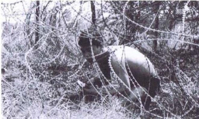 Thời kì đầu bộ đội Việt Nam bị Không quân Mỹ gây nhiều thương vong do chưa phát hiện ra hệ thống này. Để vô hiệu hóa được công nghệ hiện đại, chết chóc này của Mỹ, quân và dân Việt Nam đã mất nhiều tháng lần mò trinh sát, bò vào cắt dây kẽm gai để mang về nghiên cứu và gửi lên cấp trên để các chuyên gia nghiên cứu cách phá hủy chúng.