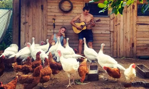 Phi cuoi loat anh hai huoc chi co o nuoc Nga (6)-Hinh-7