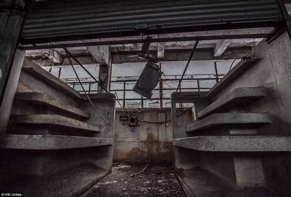 Tòa nhà bị hư hại nặng sau nhiều năm bỏ hoang.