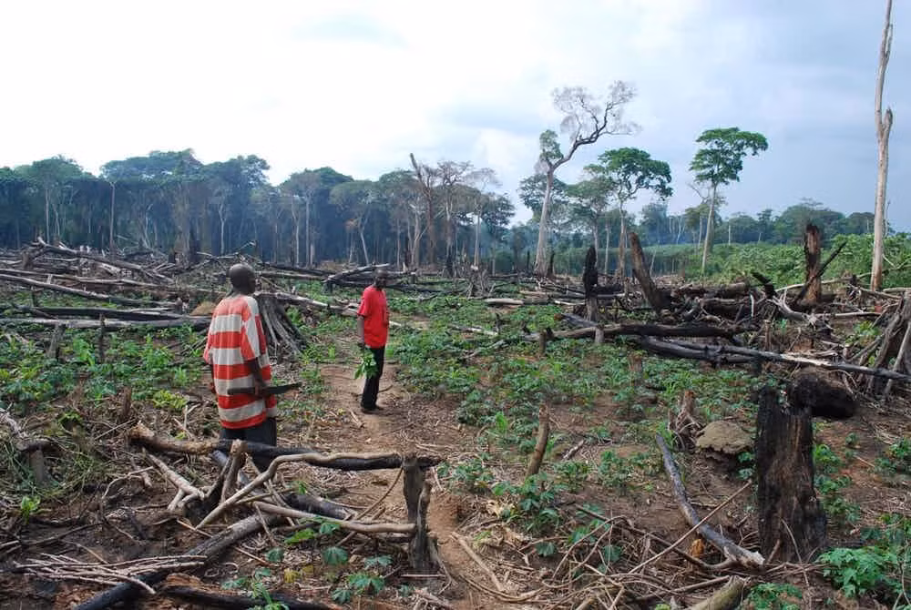 12 dieu gay soc ve cuoc song o dat nuoc Cong-go-Hinh-10
