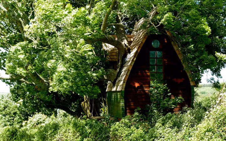 Ngôi nhà bí ẩn trong lùm cây ở Anh.
