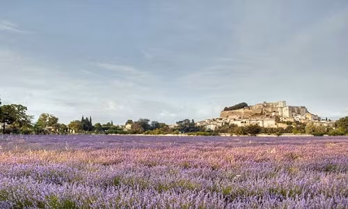 Grignan (Pháp): Thị trấn Grignan vùng Drôme Provence là một trong những vùng trồng hoa oải hương nhiều nhất nước Pháp. Cánh đồng hoa oải hương tím biếc, lâu đài đá Grignan, nhà xây bằng đá trắng, phố cổ, nhà thờ Collegiate ‘hút hồn” du khách đó đây. Nếu có dịp tới Grignan, bạn có cơ hội thưởng thức rượu vang, pho mát, nấm cục và các đặc sản ngon nhất của người dân địa phương.