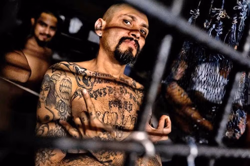 Dot nhap bang dang toi pham khet tieng nhat nuoc My-Hinh-8