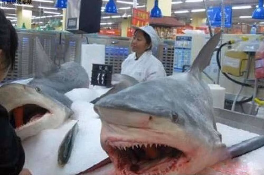 Đầu cá mập cũng là một mặt hàng đặc biệt của Walmart tại Trung Quốc. Hình ảnh này chắc hẳn khiến không ít khách hàng giật mình. Ảnh: The Richest.