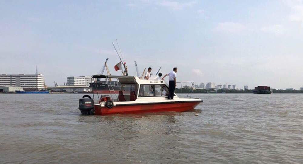 Dang truc vot sa lan dam nhau, chim tren song Sai Gon